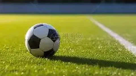 国际奥委会第144届全会前夕举办新闻发布会