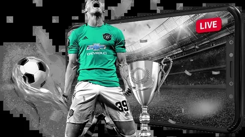 BB贝博艾弗森体育