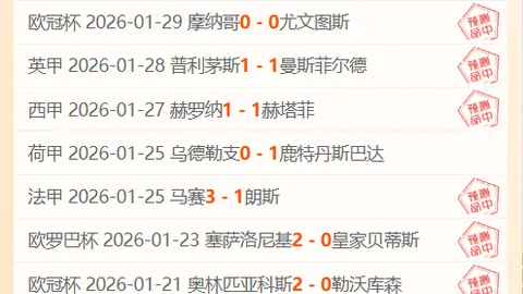 BB贝博艾弗森体育